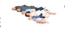 Mannequins & training dummies — catalogue photograph